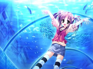 Post 69565