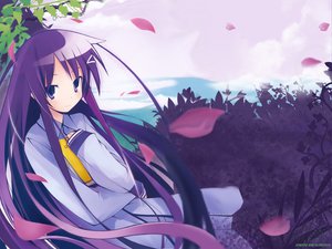Post 57079