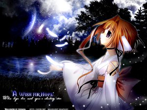 Post 16096