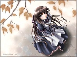 Post 1369