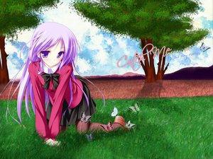 Post 20239