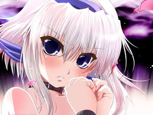Post 30098