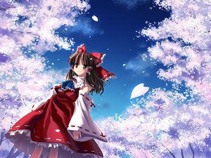 Post 30772