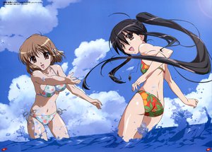 Post 6265