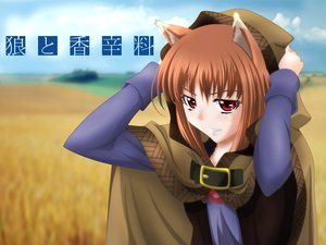 Post 97127