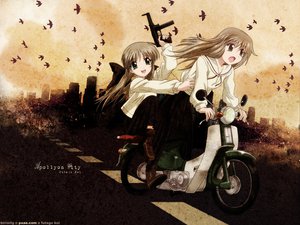 Post 20716