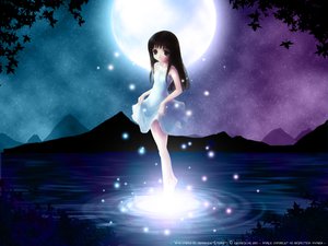 Post 942