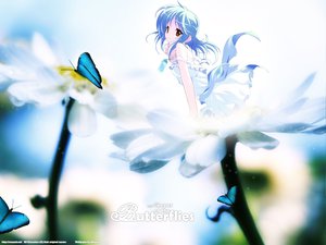 Post 33248
