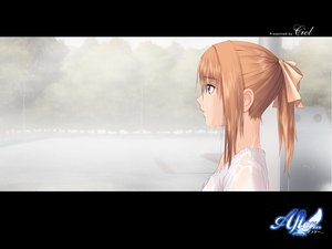 Post 33691