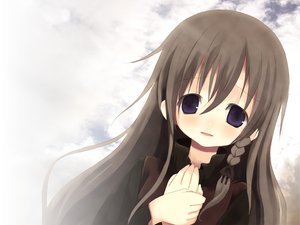 Post 16505