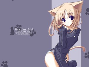 Post 16553