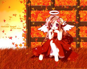 Post 10995
