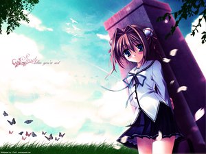 Post 4747