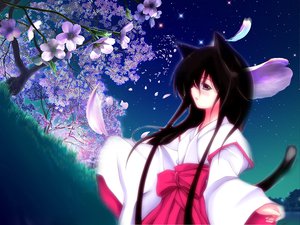 Post 25706