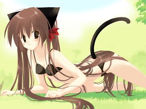 Post 16187