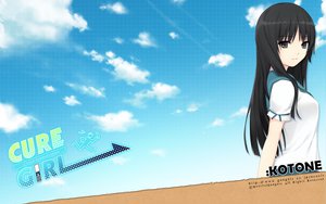 Post 95018