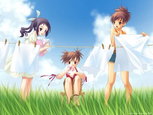 Post 16430