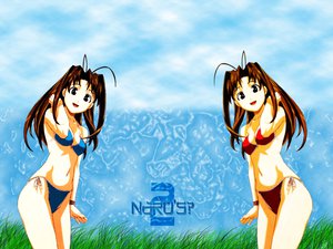Post 13065