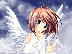 Post 6656