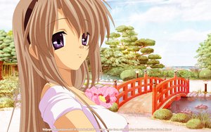 Post 67462
