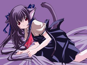 Post 7503