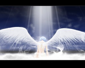 Post 13711