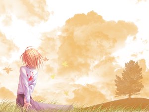 Post 29513