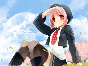 Post 2701
