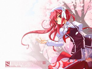 Post 7462