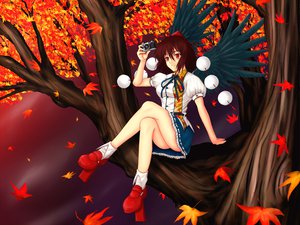 Post 64955