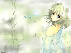 Post 61191