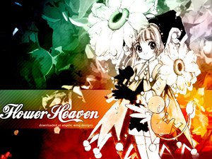 Post 2453