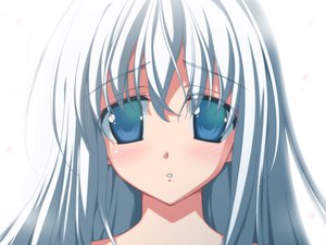 Post 39304