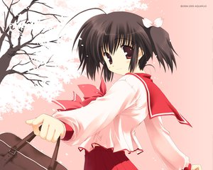 Post 7430