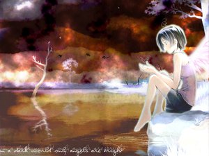 Post 22854