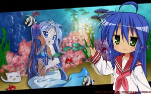 Post 73205