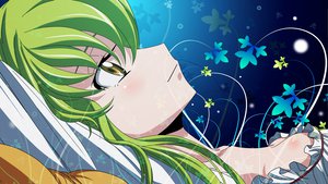 Post 77353