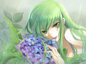 Post 53519