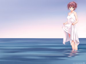 Post 32894