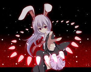 Post 64126