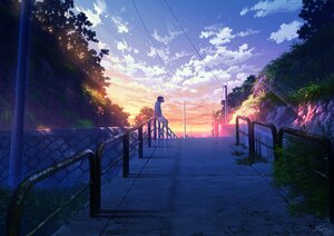 Post 338061