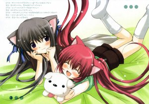 Post 2236