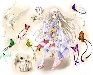 Post 89755