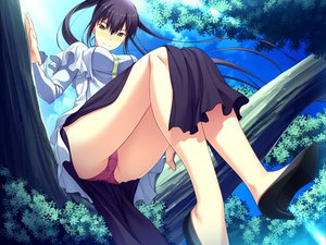 Post 69422