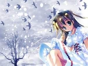 Post 10067
