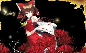 Post 50493