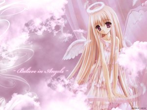 Post 733