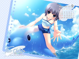 Post 95945