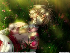 Post 70545