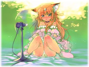 Post 6403